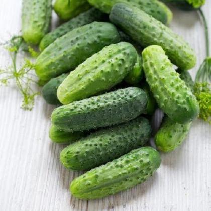 Rsslyn 200pcs Dried Cucumber Seeds ..