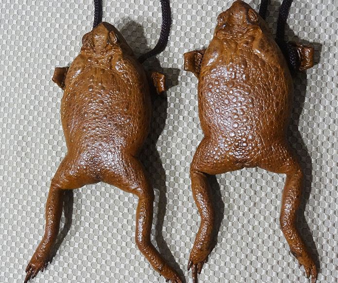 Frog Handbags 2024 favors