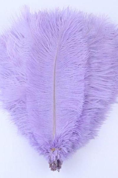 Rsslyn Lavander Feathers Natural Plumes Wholesale10pcs Large Ostrich Feathers for Crafts RSS14-352021 Wedding Decoration